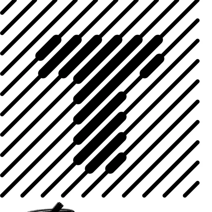 tinsuproduction