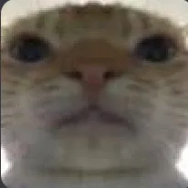 yoaniscool33