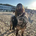 @equestrian.bronislaw
