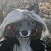 cassidythecivet