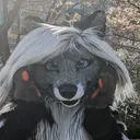 @cassidythecivet