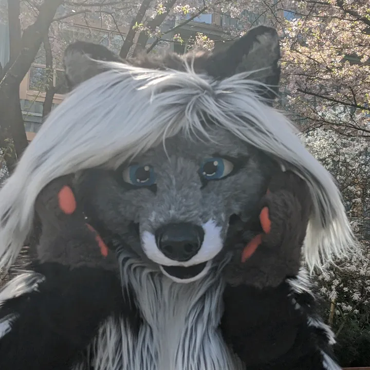 @cassidythecivet