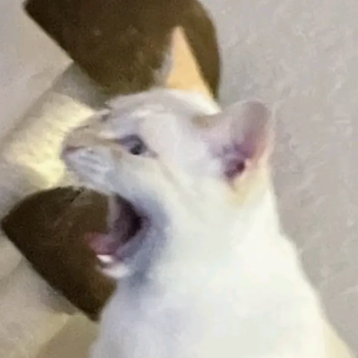 @stonehandttv