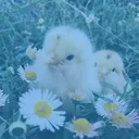 @the_happy_sandy