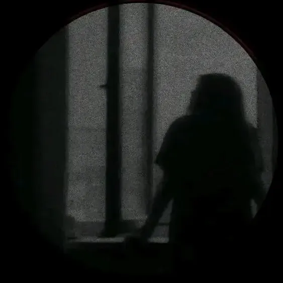 aeh95_sj