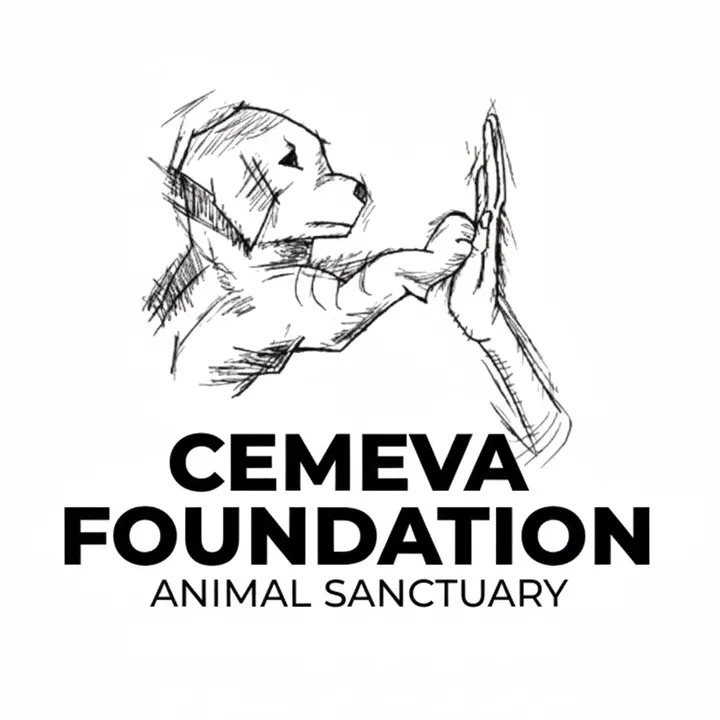 @cemevafoundation