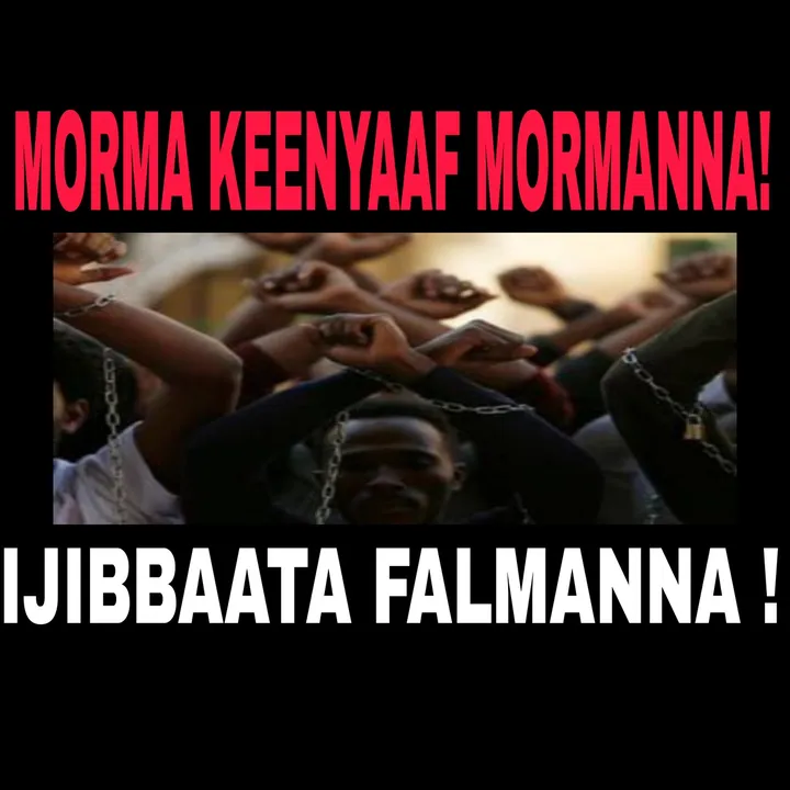 karadeemaa1