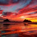 @albert84466