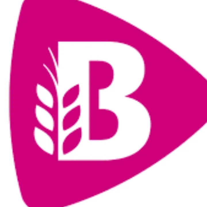 @bakkerbartputten