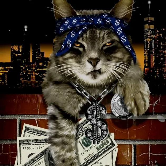 iwantabalinesecat