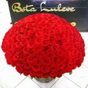 @botaluleve