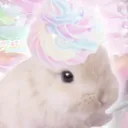 @bakabakaloll