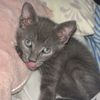 smokey.buddy5