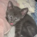 @smokey.buddy5