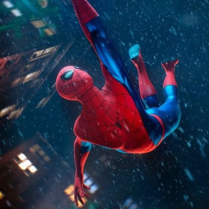 @spideywebhead817