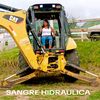 elbamorales199