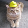 safety.cat0
