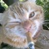 zayorjay679