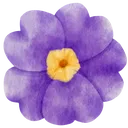 @na_nniu