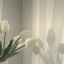 @georgie.clare