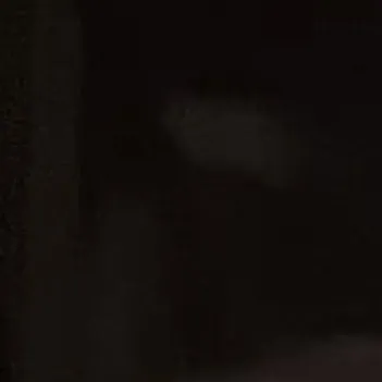 notsean3