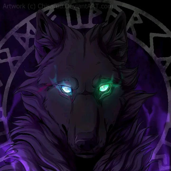 misty._.wolf0