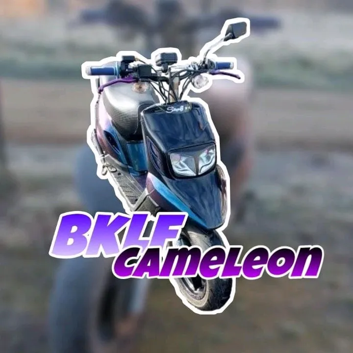 @bklf_cameleon
