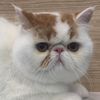 tianshi.zhang7