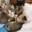 @user9218103468804
