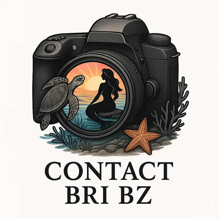 contactbri_bz