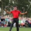harryswings