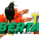 @libertadaynipositiva7