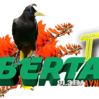 @libertadaynipositiva7