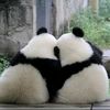 mes_luxes