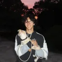 @choiceplug