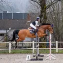 @hedda.equi