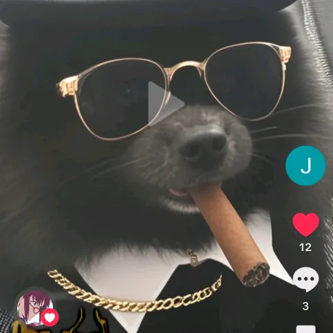 fluffball405