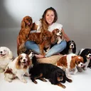 @cavalier_rescue_gang