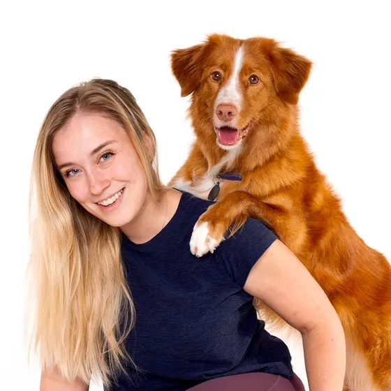 @whiskeytoller
