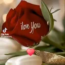 @adlineedgard8