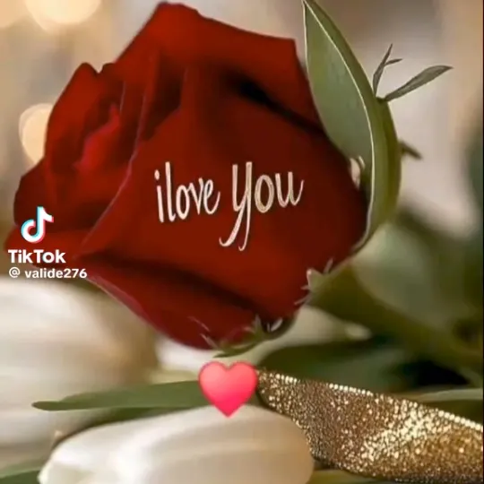 @adlineedgard8