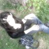 kti4qll4
