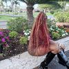 _.indianna_