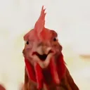 @chickrhkfi2