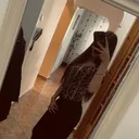 @x13_ramo