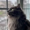 jonathon_007