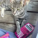 @catdogloverkat