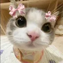 @eunice.lori