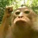 @budget_in