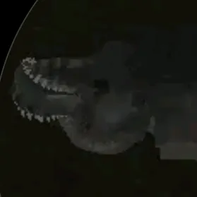 trex_jwtg